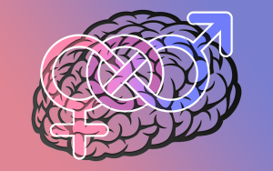 Brain-is-unisex-no-differences-between-male-and-female